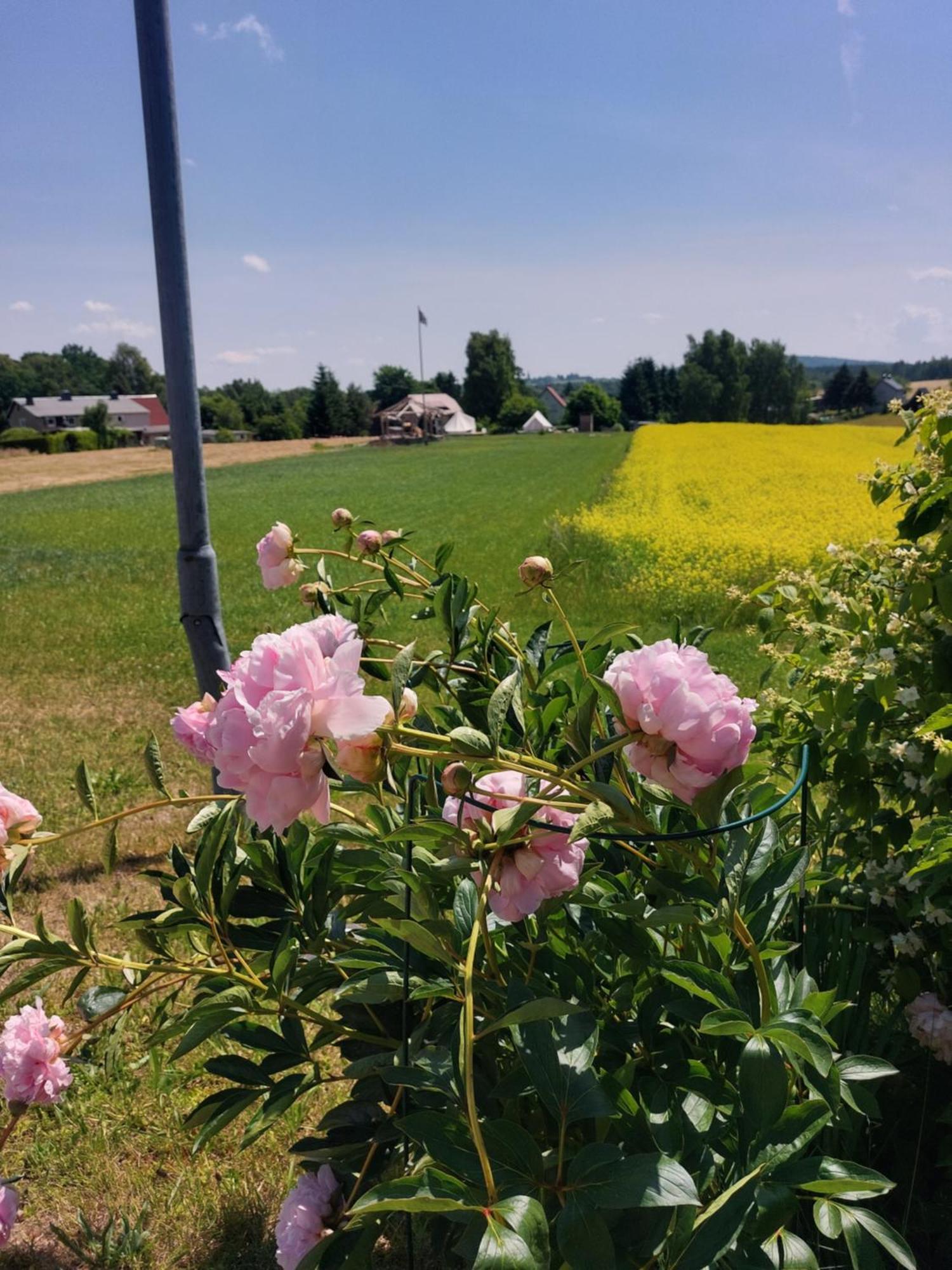 Durrhennersdorf Autark-Camp Gleis A.酒店 外观 照片